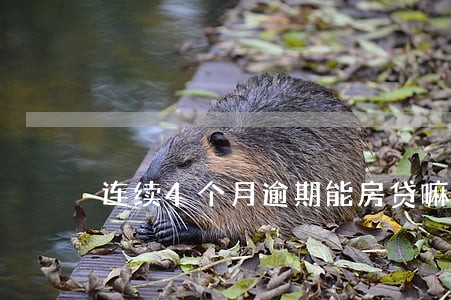 连续4个月逾期能房贷嘛 连续4个月逾期能房贷嘛