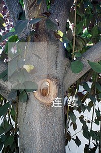 连续4个月逾期还能房贷吗 连续4个月逾期还能房贷吗