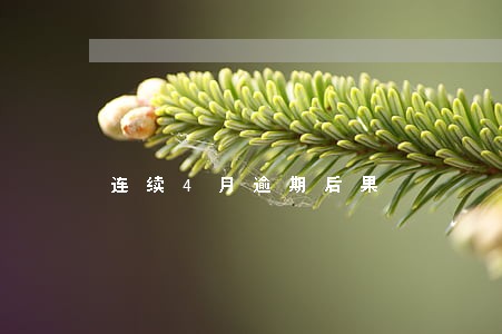 连续4月逾期后果