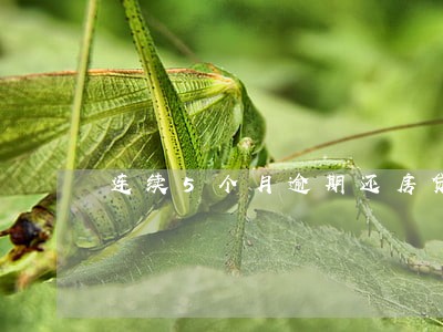 连续5个月逾期还房贷 连续5个月逾期还房贷