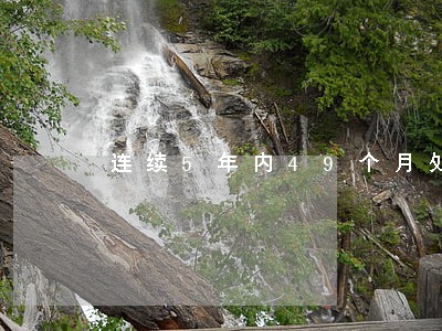 连续5年内49个月处于逾期状态 连续5年内49个月处于逾期状态