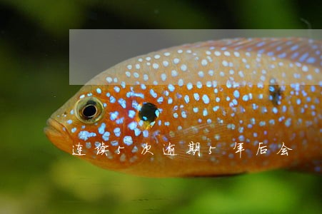 连续5次逾期5年后会 连续5次逾期5年后会