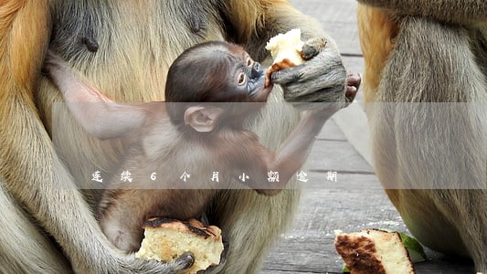 连续6个月小额逾期 连续6个月小额逾期