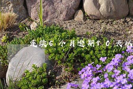 连续6个月逾期90天以上 连续6个月逾期90天以上
