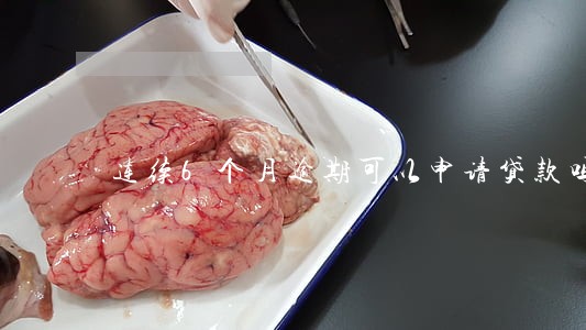 连续6个月逾期可以申请贷款吗 连续6个月逾期可以申请贷款吗