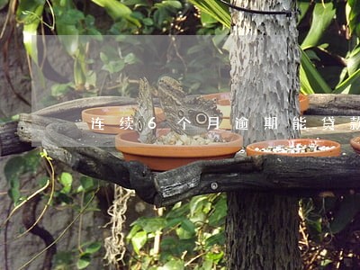 连续6个月逾期能贷款吗 连续6个月逾期能贷款吗