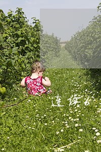 连续6期逾期 连续6期逾期