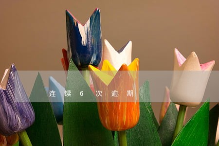 连续6次逾期 连续6次逾期