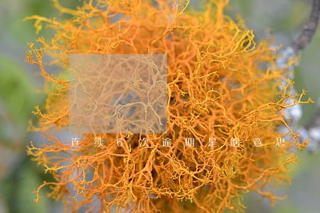 连续6次逾期是啥意思 连续6次逾期是啥意思