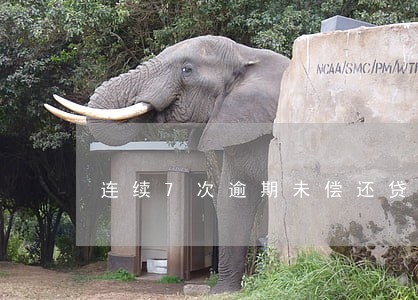 连续7次逾期未偿还贷款利息 连续7次逾期未偿还贷款利息