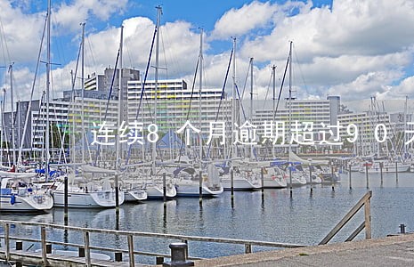 连续8个月逾期超过90天 连续8个月逾期超过90天