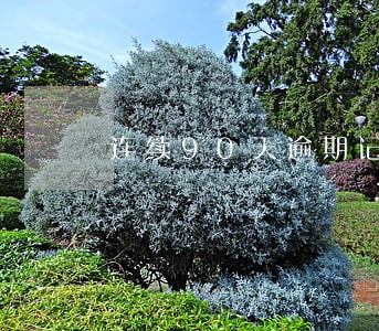 连续90天逾期记录 连续90天逾期记录