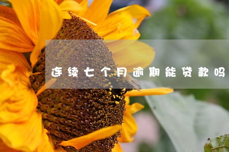 连续七个月逾期能贷款吗 连续七个月逾期能贷款吗
