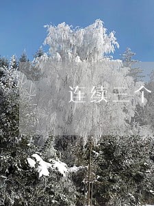 连续三个月逾期111 连续三个月逾期111