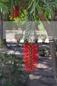 连续三个逾期15天 连续三个逾期15天