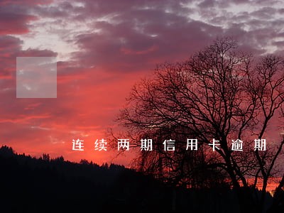连续两期信用卡逾期