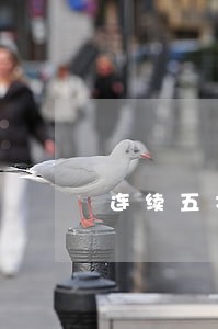 连续五次逾期能贷款吗 连续五次逾期能贷款吗