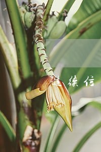 连续信用卡逾期有啥影响