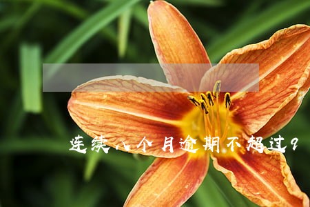 连续八个月逾期不超过90天 连续八个月逾期不超过90天