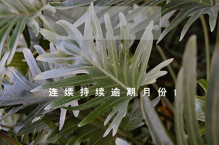 连续持续逾期月份1 连续持续逾期月份1