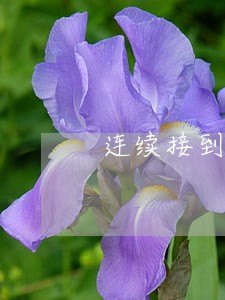 连续接到电话说我网贷逾期了 连续接到电话说我网贷逾期了