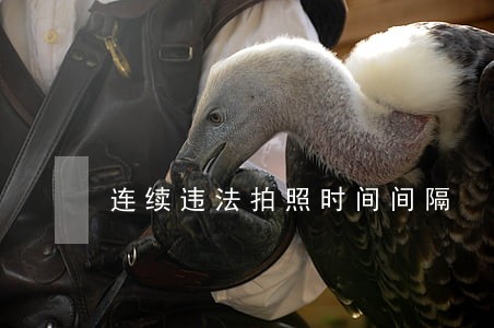 连续违法拍照时间间隔 连续违法拍照时间间隔