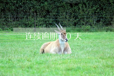 连续逾期10天 连续逾期10天