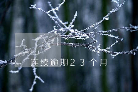 连续逾期23个月 连续逾期23个月