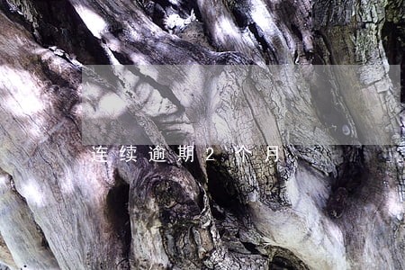 连续逾期2个月 连续逾期2个月