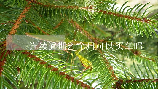 连续逾期2个月可以买车吗 连续逾期2个月可以买车吗