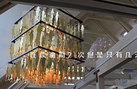 连续逾期2次但是只有几天 连续逾期2次但是只有几天