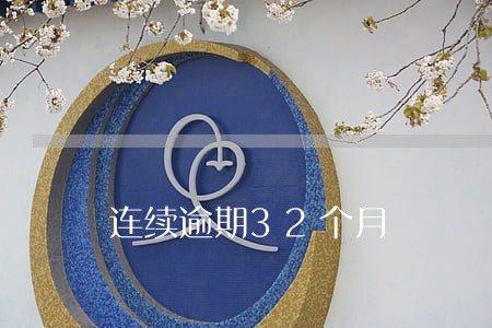 连续逾期32个月 连续逾期32个月