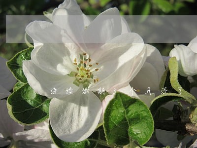 连续逾期3个月还了 连续逾期3个月还了