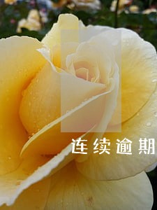 连续逾期3期不超过1次 连续逾期3期不超过1次