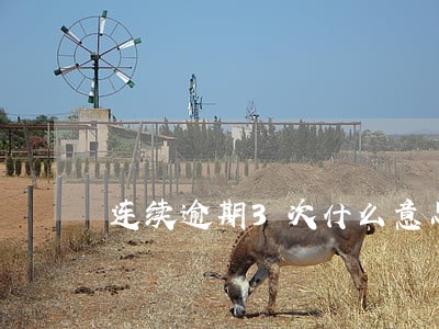 连续逾期3次什么意思