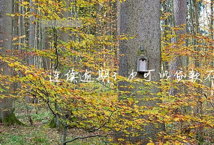 连续逾期3次可以贷款不 连续逾期3次可以贷款不