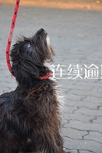 连续逾期3次可以贷款吗 连续逾期3次可以贷款吗