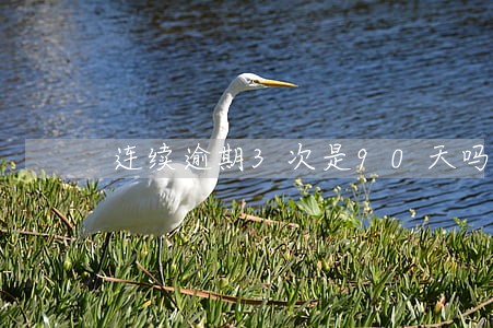 连续逾期3次是90天吗 连续逾期3次是90天吗