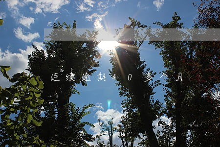 连续逾期40多个月 连续逾期40多个月
