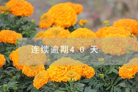 连续逾期40天