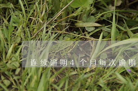 连续逾期4个月每次逾期1天 连续逾期4个月每次逾期1天