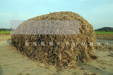 连续逾期4个月没超90天 连续逾期4个月没超90天