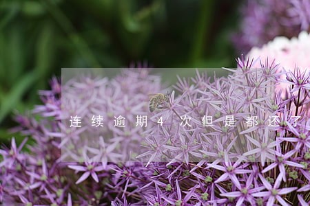 连续逾期4次但是都还了 连续逾期4次但是都还了