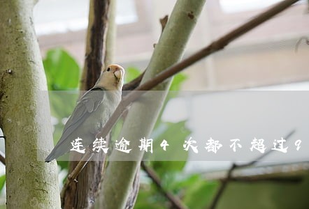 连续逾期4次都不超过90天 连续逾期4次都不超过90天