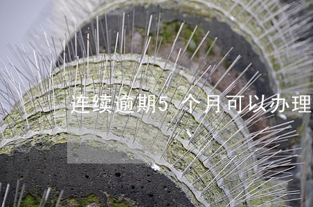 连续逾期5个月可以办理房贷吗 连续逾期5个月可以办理房贷吗