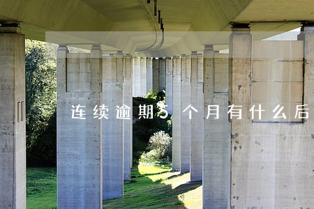 连续逾期5个月有什么后果 连续逾期5个月有什么后果
