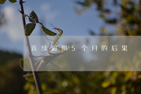 连续逾期5个月的后果