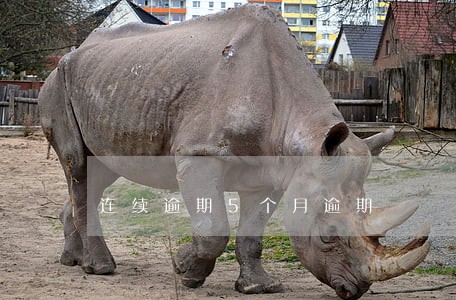 连续逾期5个月逾期 连续逾期5个月逾期