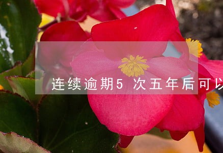 连续逾期5次五年后可以消除吗 连续逾期5次五年后可以消除吗