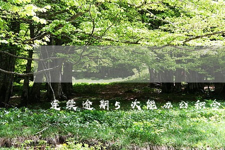 连续逾期5次能办公积金贷款吗